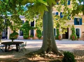 Bastide du régent, guest house in Le Thor