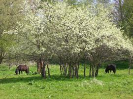 Stadtwohnung, hotel em Usedom Town