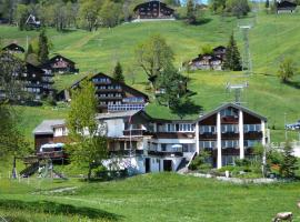 Hotel Restaurant Cristal, hotel sa Braunwald