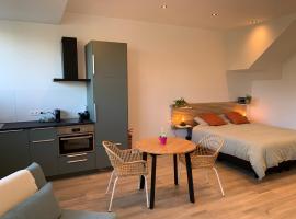 Green studio-Situé à 15 min de Botrange, Parc Hautes Fa gnes et Francorchamps, apartamento en Heusy