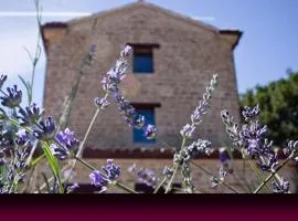 L'Alboreto Salvatico Homestay