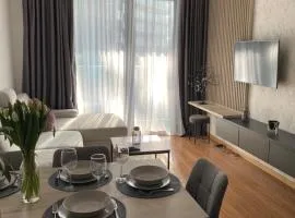 Apartment Pupin Star - City Centre