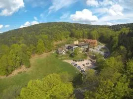 Wald-Hotel Heppe