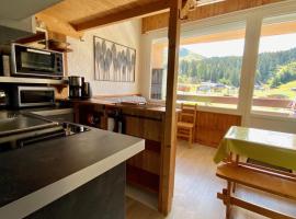 SUPER LIORAN - APPARTEMENT ENTIÈREMENT ÉQUIPÉ, hotel v destinácii Laveissière