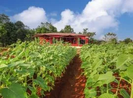 AARYA FARM