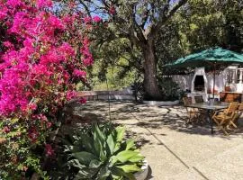 Beautiful Home with Sea View