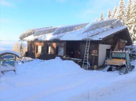 Almhaus Florian, hotel en Treffen