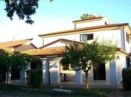 Apartman Dora