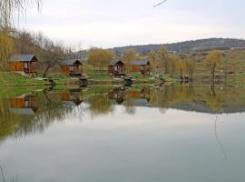 Cabanute Premium de pescuit, campsite in Sînmărghita