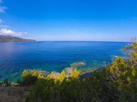 Residenza Le Tartarughe