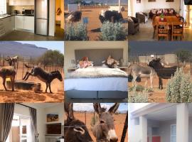 Donkieshoek Accommodation & Campsite, Calvinia, hotel near Akkerendam Nature Reserve, Calvinia