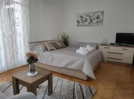 Apartman Centar Šare