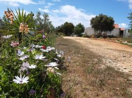 Quinta da Jolanda-Happy Family Farm