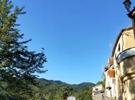IL NIDO VERDE