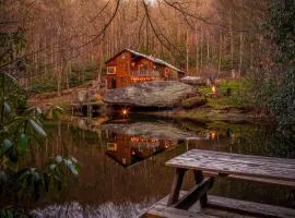 Serene mountain getaway, Hot Tub, Sauna, Lake View, Swim, Fish, Hiking, EV plugin