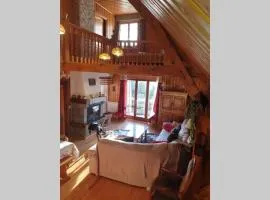 Authentique chalet vue sur le lac et les pistes