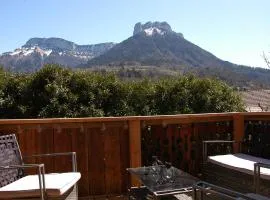 Le P'tit Chalet de la Fressine