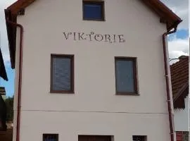 Apartmán s vinným sklepem VIKTORIE Pouzdřany