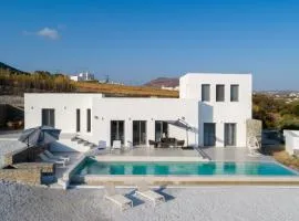 Agathee Cactus villa