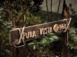 B&B Pura Vista