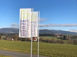 Boardinghouse37, appartement à Schwarzach