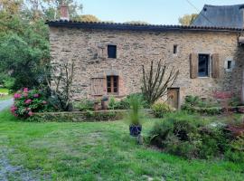 Gîte du Petit Moulin, hotel em Réaumur