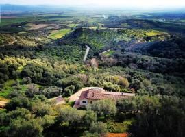 Orto de' Mandorli B&B, bed & breakfast a Vetulonia