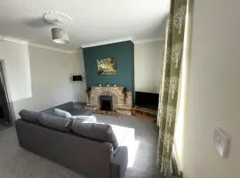 Luke Stays - Alum Waters