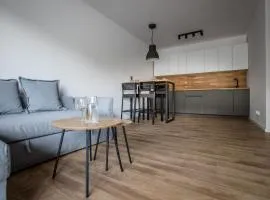 Longinus Apartament