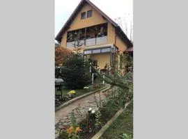 Casa Primaverii Breaza