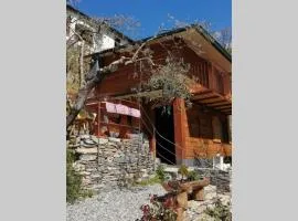 La Casetta di Molly tra ulivi e roseto