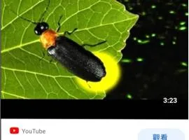 Miaoli Sanyi Shantongyazhu Homestay