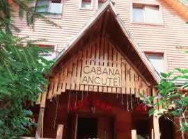 Cabana Ancutei, hotel en Rucăr