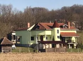 Vila Rodjak sa sela