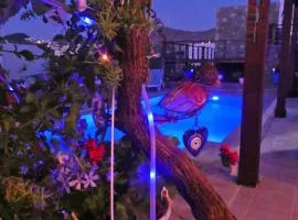 Villa Priene - Gumusluk Private Pool