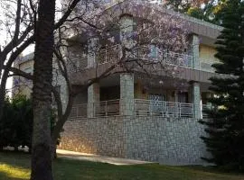 Villa Entrenaranjos