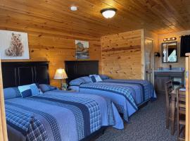 Mountain View Lodge & Cabins, hotel en Hill City