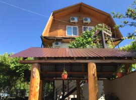 Гостевой дом Лдзаа, гостевой дом в городе Lidzava