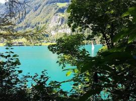 Ferienhaus Lungern see-you, hotel in Lungern