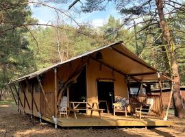 Camp Bursztynowy Las, glamping en Gdansk