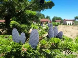 Päevatalu Camping
