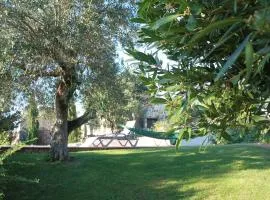 Quinta de São João