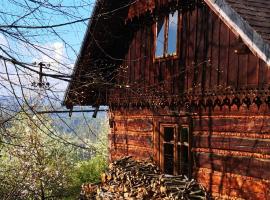 Caputówka 100 letnia chata – domek górski w mieście Rajcza