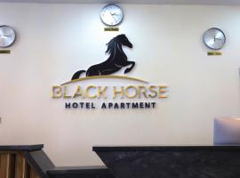 Black Horse Hotel Apartment, hotel in Addis Ababa