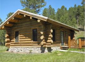 Renegade Log Cabin, готель у місті Кастер