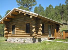 Renegade Log Cabin, hotel in Custer