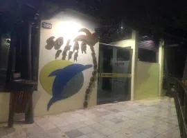 Solar Pipa Top