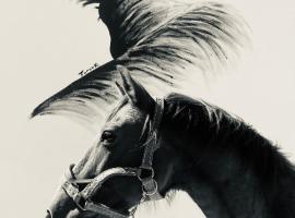 Gîtes Equestres Lou Caloun - Les Saintes Maries de la Mer, hôtel à Saintes-Maries-de-la-Mer