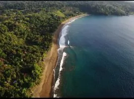 Life for Life Hostel Drake Bay Home of Sea Turtle Marine Conservation Project Osa Peninsula near San Josecito Beach