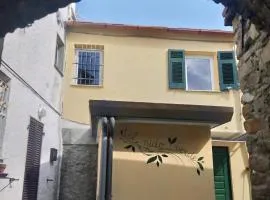 IL NIDO VERDE